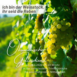 Ich bin der Weinstock, ihr seid die Reben!